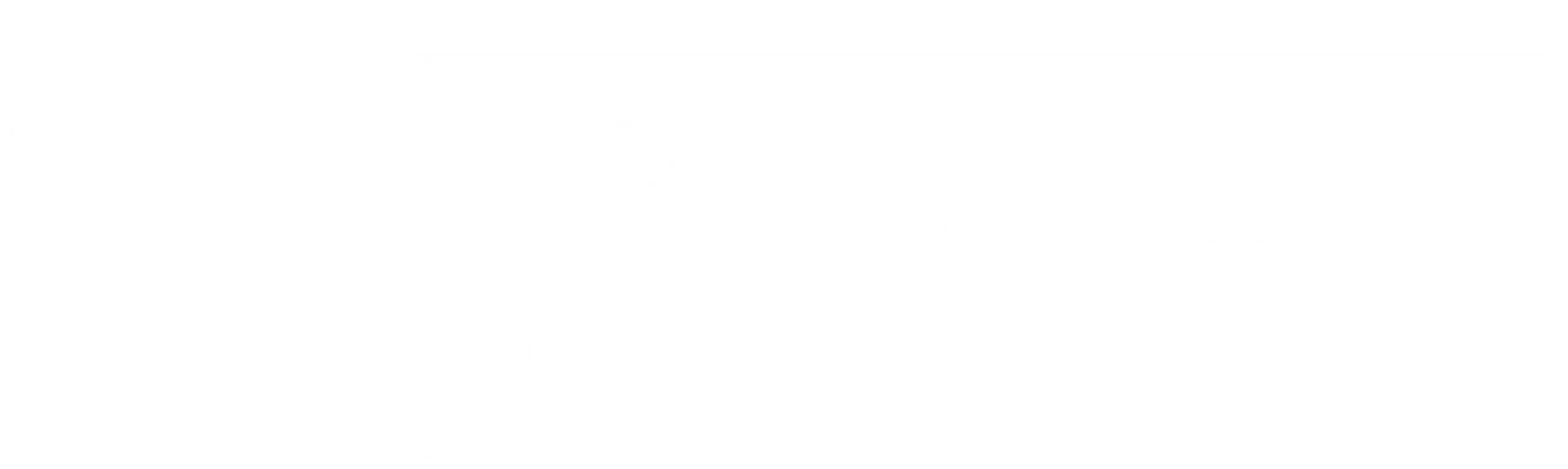 Bilişim 500